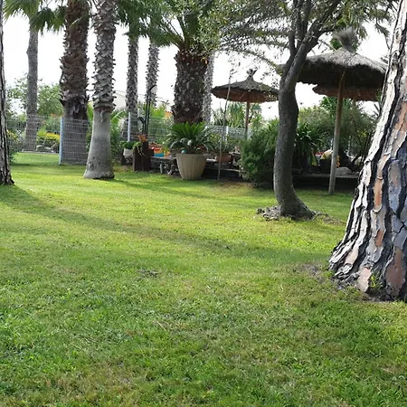 Sur Appt Etage Calella Confort Jardin Piscine Parking Wifi Argeles-sur-Mer