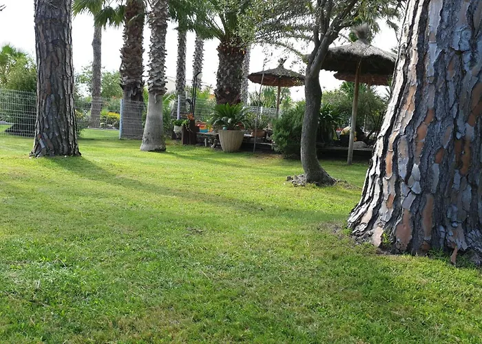 Sur Appt Etage Calella Confort Jardin Piscine Parking Wifi Argelès-sur-Mer